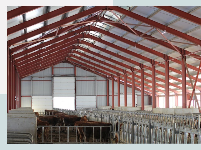 Строительство коровников в Кыштыме